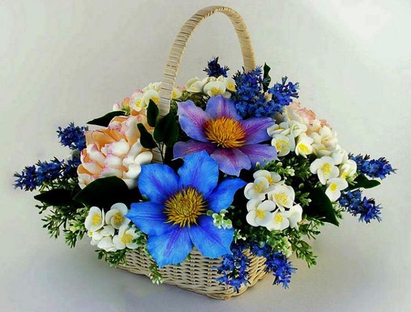 bonjour a vous  !!!!